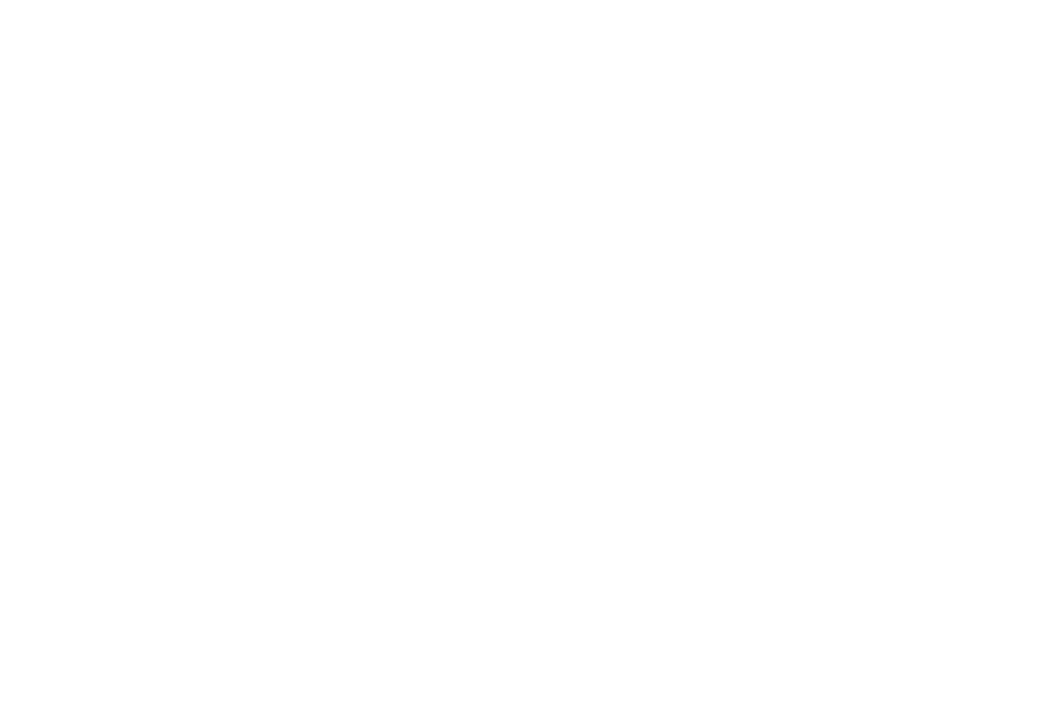 THEBRNINGLAB
